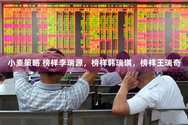 小麦策略 榜样李瑞源，榜样韩瑞琪，榜样王瑞奇