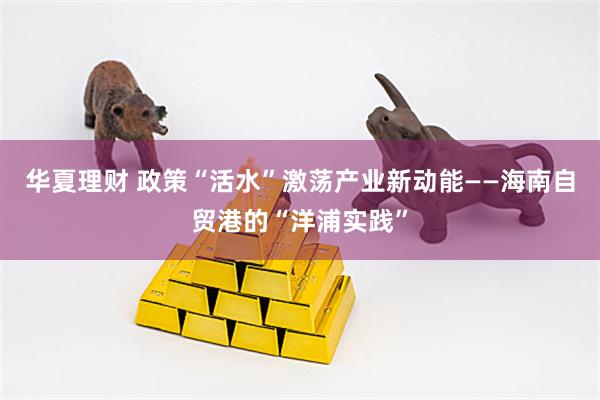 华夏理财 政策“活水”激荡产业新动能——海南自贸港的“洋浦实践”