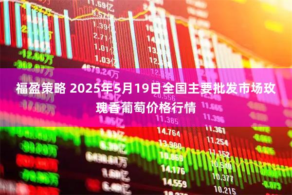 福盈策略 2025年5月19日全国主要批发市场玫瑰香葡萄价格行情